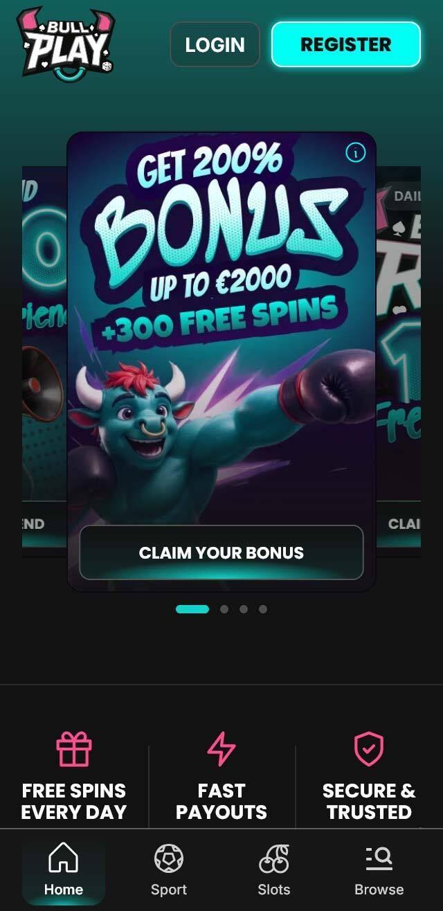 Bull Play Casino screenshot 5