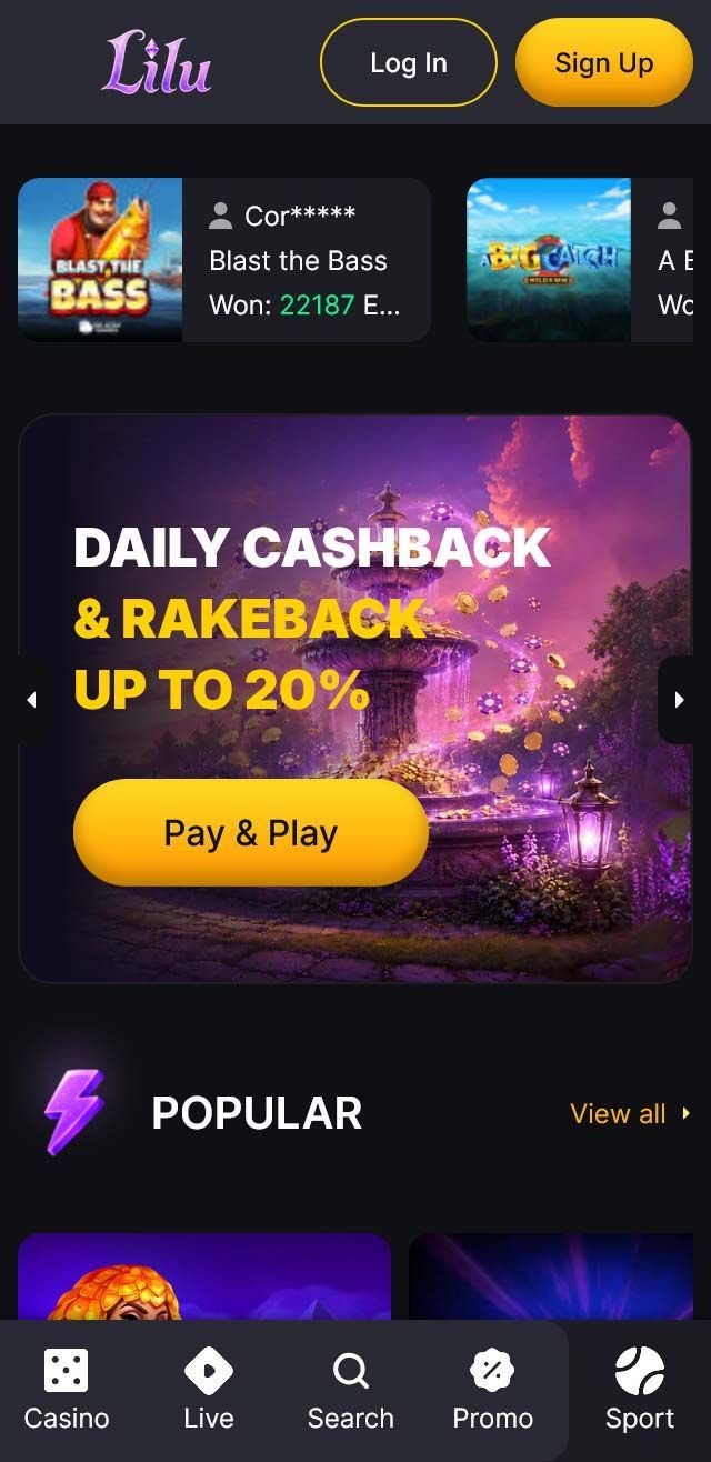 Lilu.bet Casino screenshot 5